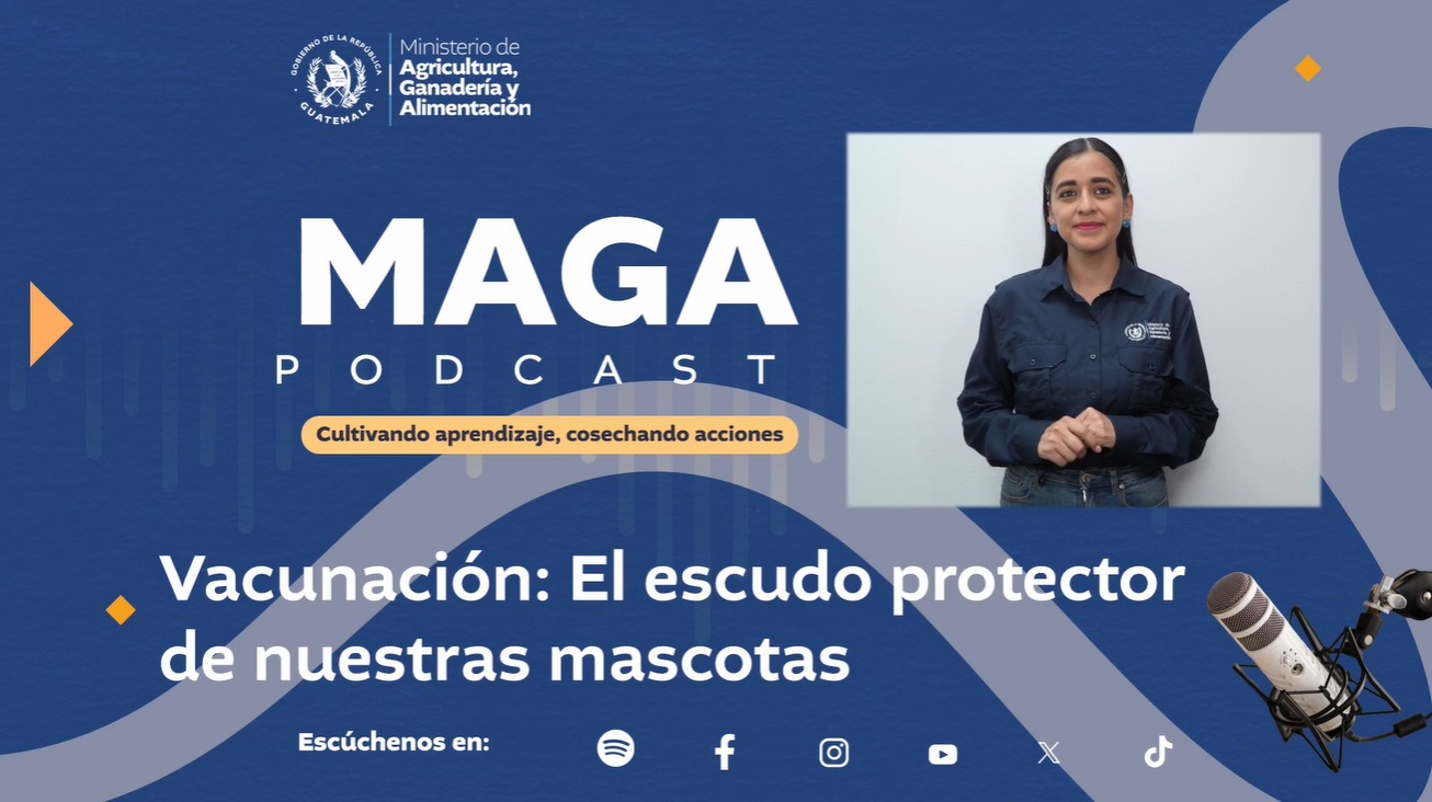 Vacunación mascotas