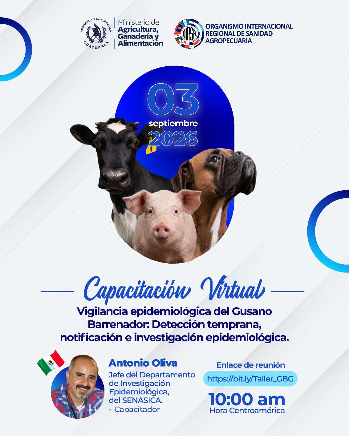 Taller virtual para fortalecer la vigilancia del Gusano Barrenador