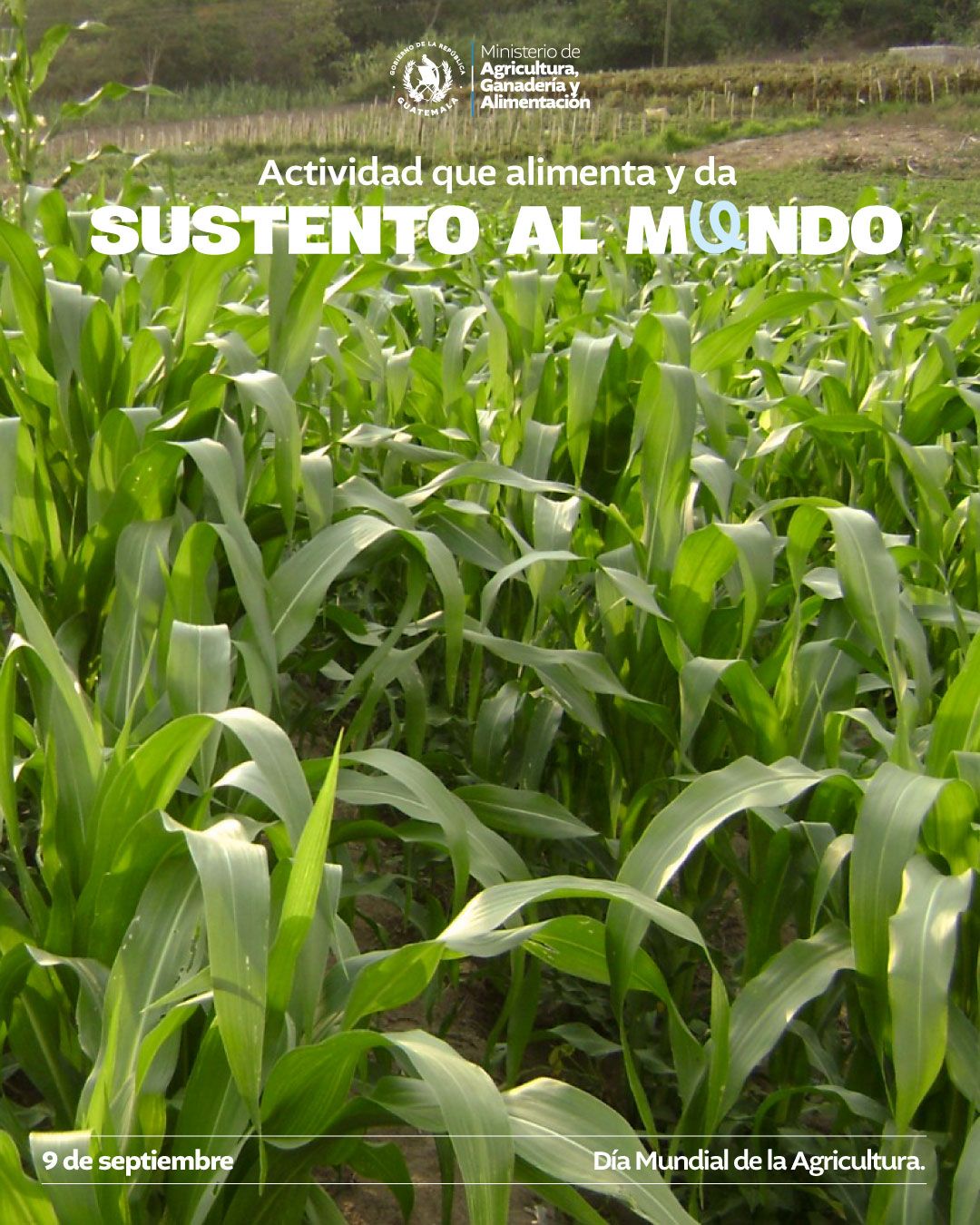 9 de septiembre | Día Mundial de la Agricultura