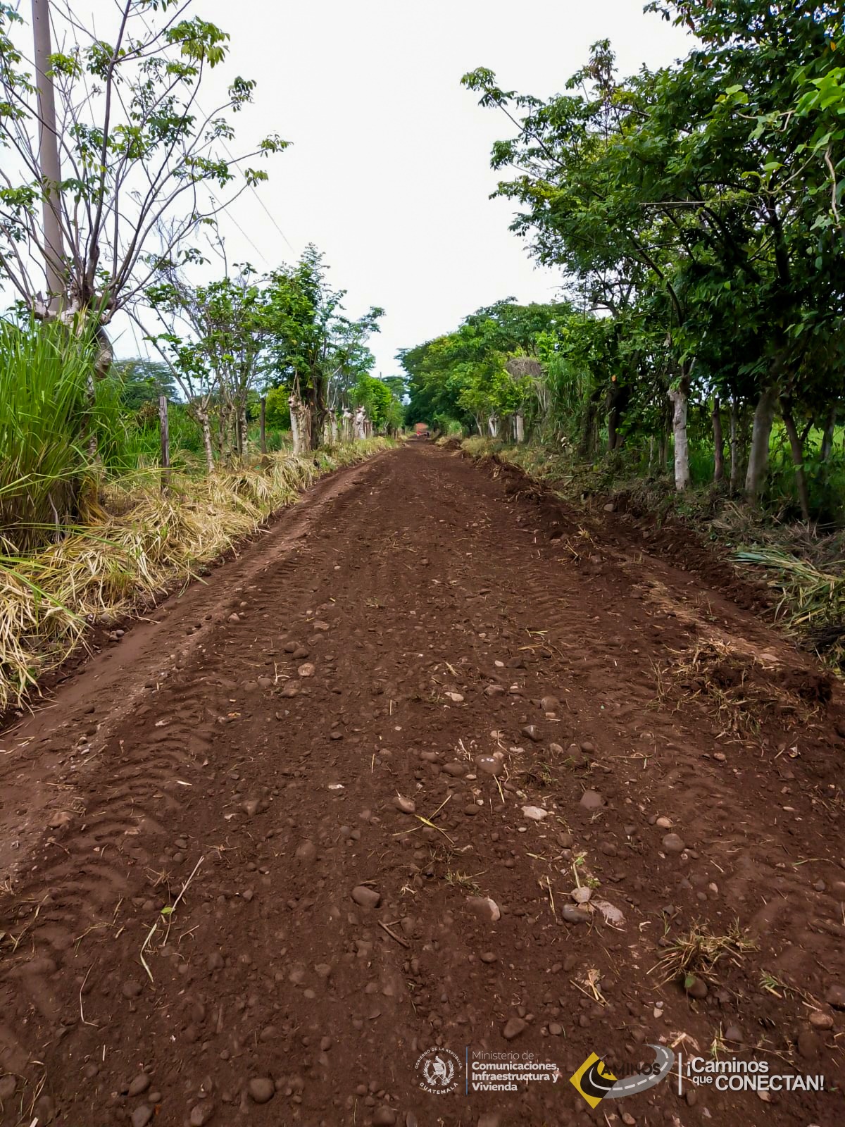 Caminos