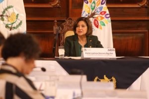Vicepresidenta Karin Herrera