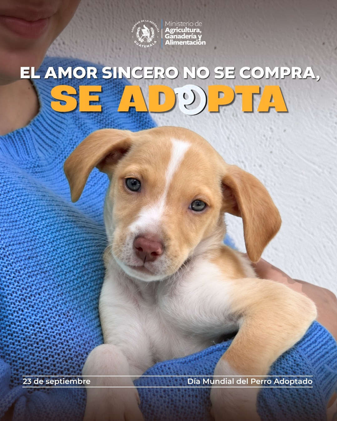 Día Mundial del Perro Adoptado