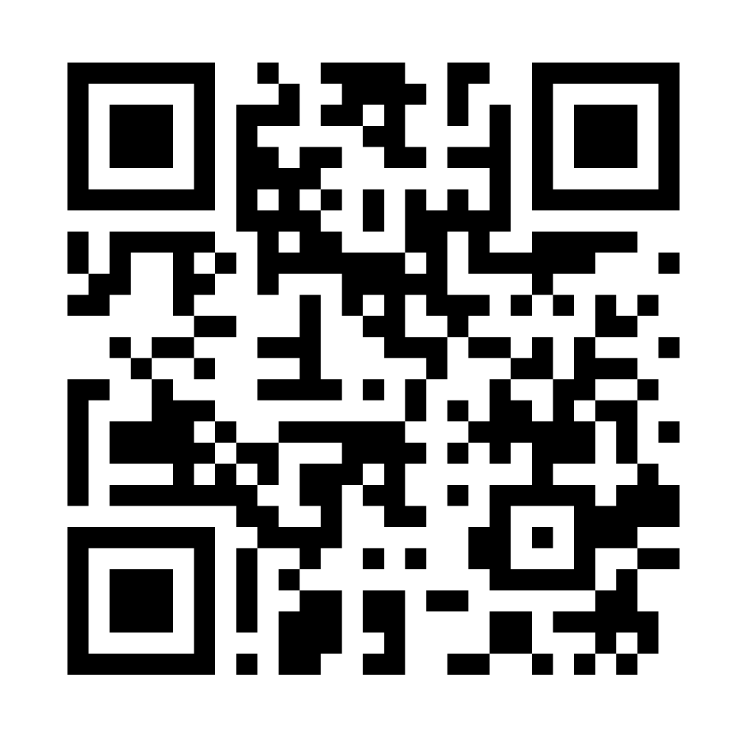 Para ingresar al chatbot se generó el siguiente QR: