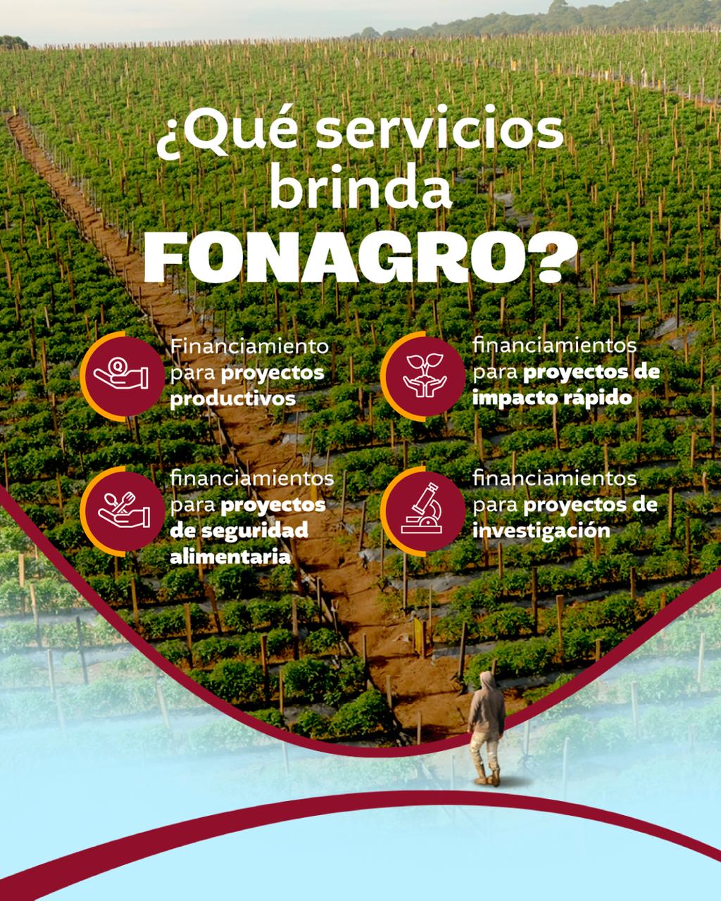 Descubra los financiamientos disponibles a través de FONAGRO