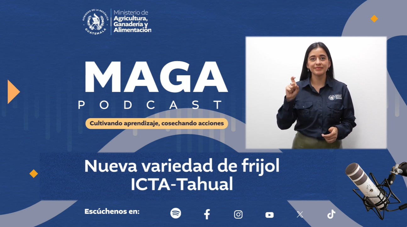 MAGA PODCAST