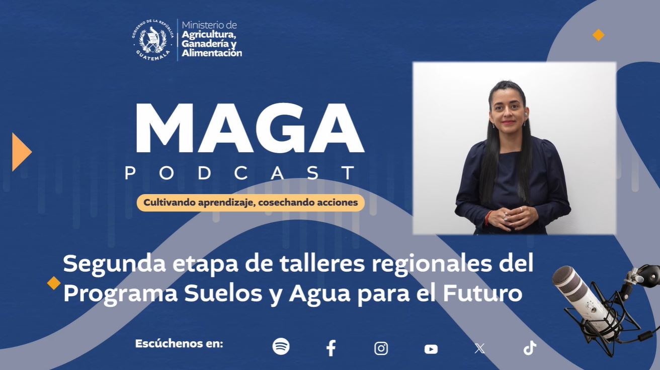 MAGA Podcast en YOUTUBE