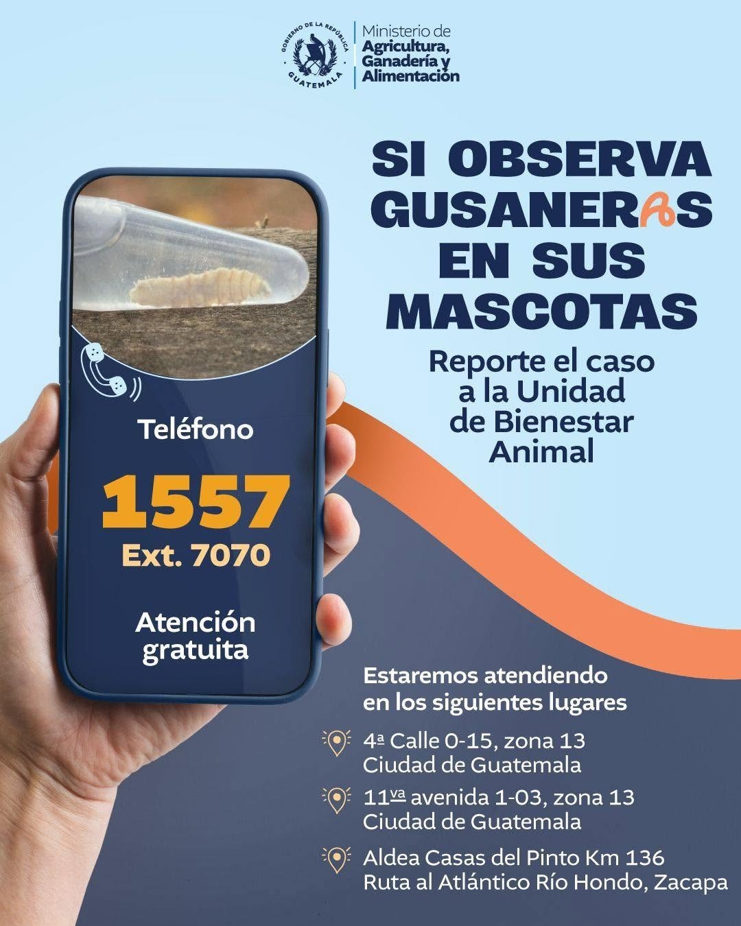 Proteja a sus mascotas del Gusano Barrenador