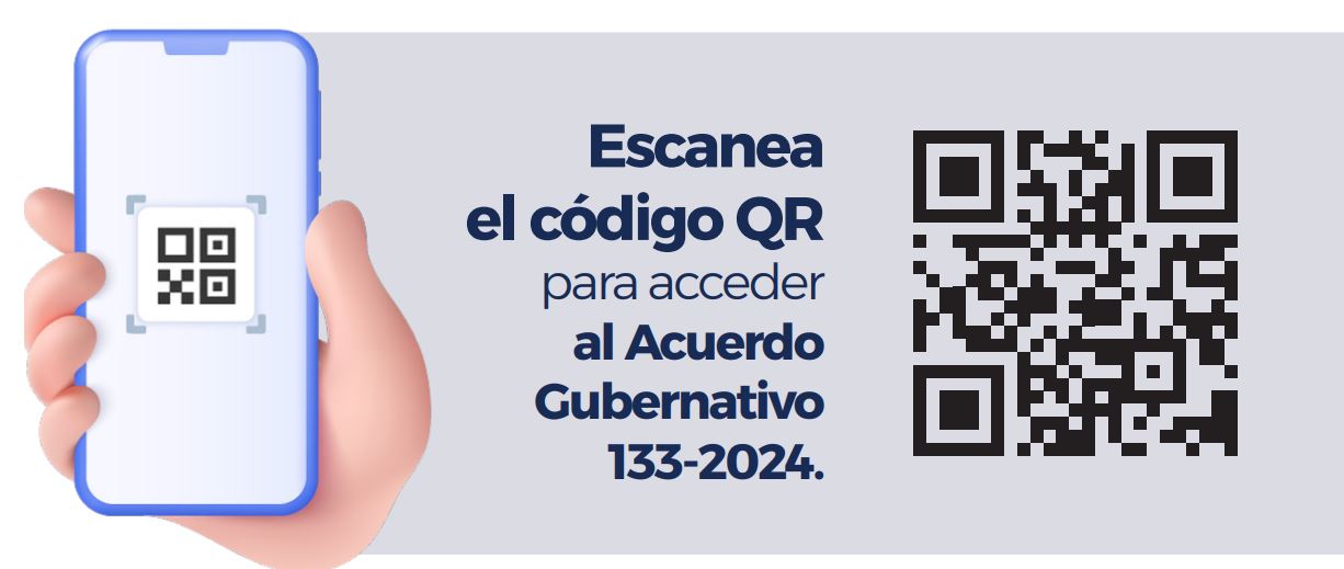RGAE Acuerdo 133-2024
