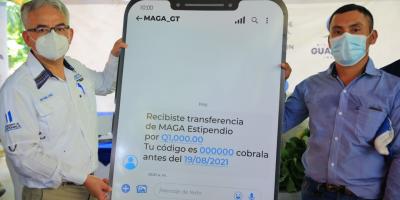 Tras restablecer sus cultivos, familias rurales reciben apoyo económico