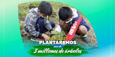 dos niños sembrando