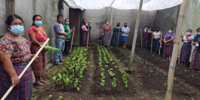 Huertos familiares