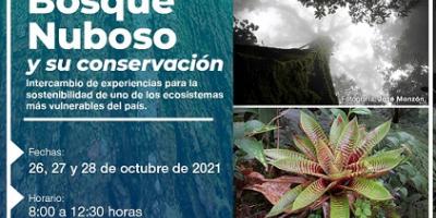 Bosque nuboso