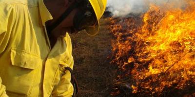 bomberos forestales