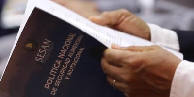 SESAN presenta ante el Grupo de Instituciones de Apoyo política actualizada