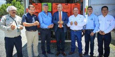 Melocotón guatemalteco se abre mercado en México 