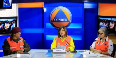 Presidenta en funciones Karin Herrera