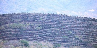 Monitoreo en 278 municipios por riesgo de frío, calor extremo y vientos