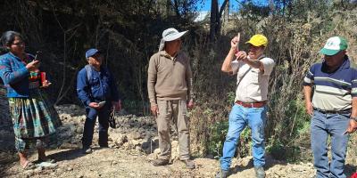 Técnicas de injerto impulsan la productividad frutícola en Cantel