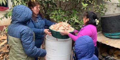 Tecnifican la producción de hongo ostra en el CADER "Mujeres Virtuosas"