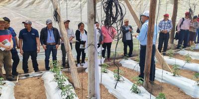 Productores de Tejutla aprenden a reducir la vulnerabilidad en la producción de tomate