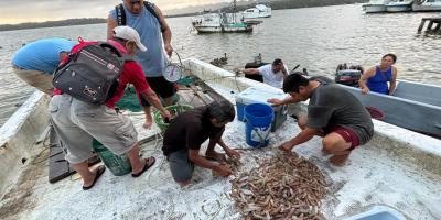 Decretan veda pesquera en el Caribe para proteger especies marinas y continentales