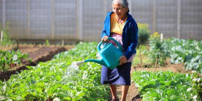 Información agroclimática fortalece la producción agrícola en Guatemala
