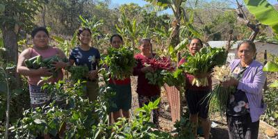 Los CADER de Chiquimula optimizan la economía local con venta de hortalizas
