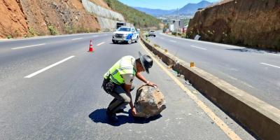 Provial atiende 47 hechos de tránsito y refuerza su papel como primera línea de respuesta en carretera