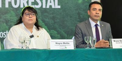 Presentan estrategia de gestión forestal para fortalecer sostenibilidad del sector agro