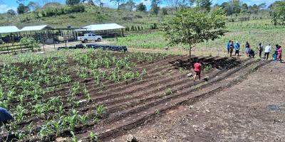 Recomendaciones agropecuarias ante variaciones de temperatura 