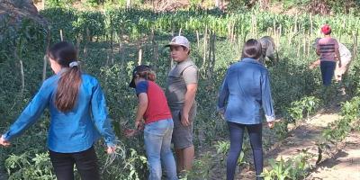 Impulsan huerto pedagógico con apoyo comunitario en Zacapa