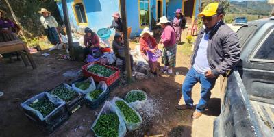 Familias de San Bartolo Aguas Calientes fortalecen sus huertos con hortalizas