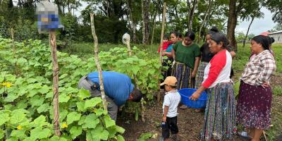 De la semilla a la mesa: mujeres Q’eqchi’ cosechan en Ixcán