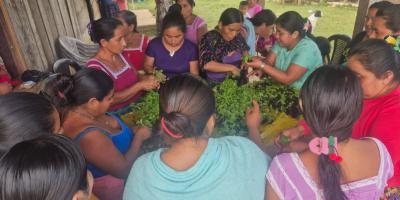 Familias de Poptún beneficiadas con pilones de hortalizas 