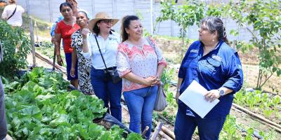 Supervisan producción de hortalizas en huerto municipal de Esquipulas
