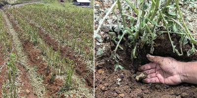 Promueven acciones sostenibles para prevenir la desertificación y enfrentar la sequía