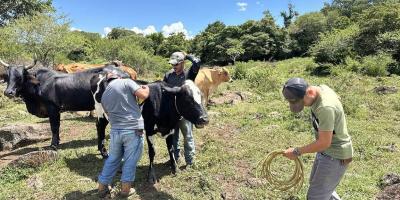 Calor se intensifica y aumenta vulnerabilidad en 143 municipios