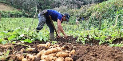 Crédito que impulsa a pequeños y medianos productores
