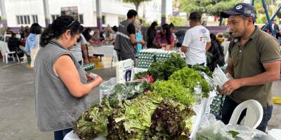 Encuentre los mejores productos y precios en la Feria del Agricultor de Bárcenas