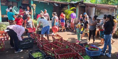 Entrega de pilones y capacitación impulsan los huertos familiares en Escuintla