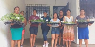 Fortalecen la agricultura familiar de Villa Canales el entregar pilones de hortalizas