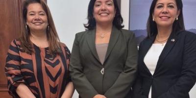 nota de prensa