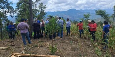 Implementan programa Suelos y Agua para el Futuro en Zacapa