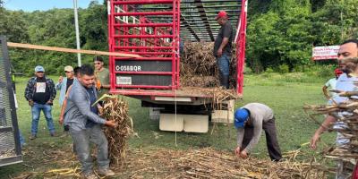 Petén avanza hacia una ganadería que protege el ambiente y fortalece la producción
