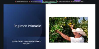 Productores y comerciantes conocen cómo cumplir con el Decreto 31-2024