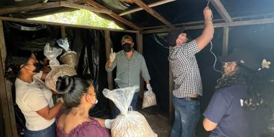 Producción de hongo ostra fortalece la nutrición en Jalapa