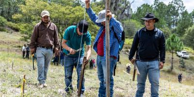 Técnicos aplican sistema Keyline en parcela de Huehuetenango