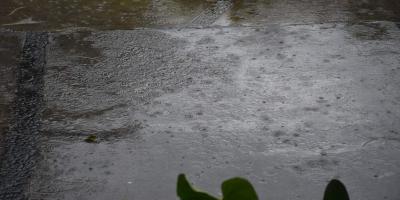 Mañana cálida y lluvias con actividad eléctrica por la tarde se prevén para este 4 de septiembre