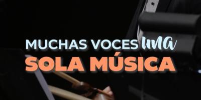 Descubre el papel de cada instrumento en la orquesta sinfónica