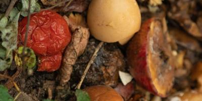 Día Internacional de Conciencia sobre la Pérdida y Desperdicio de Alimentos